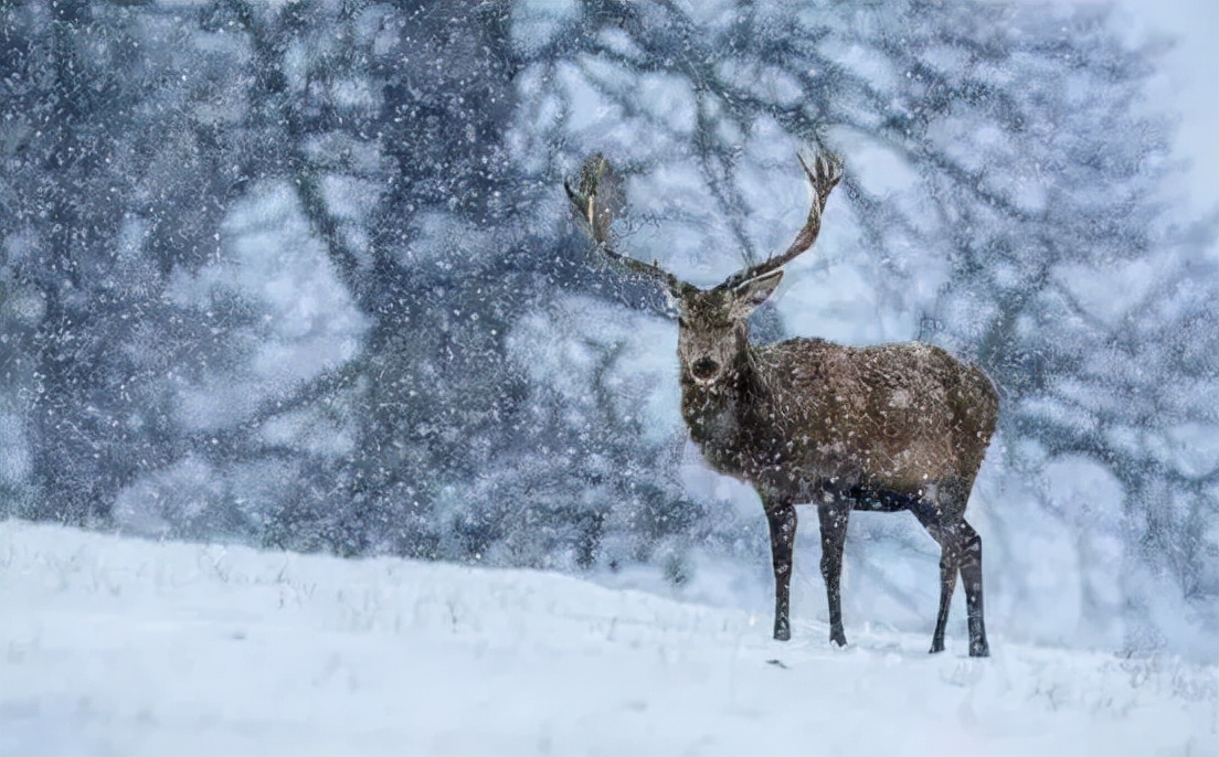小艾说艺术|隐藏起来的创作形式—画什么不见什么