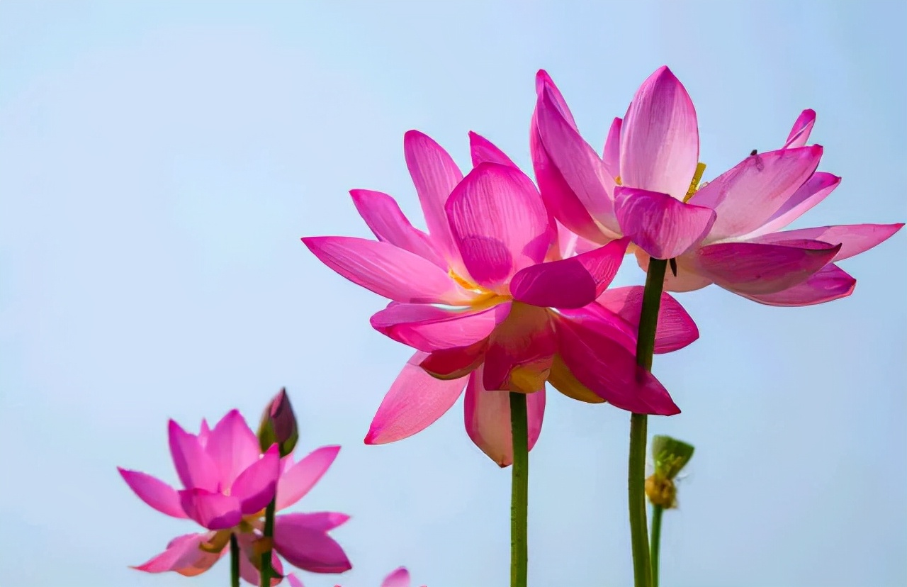 基层教师评副高工资标准,副高5级教师工龄40年工资表