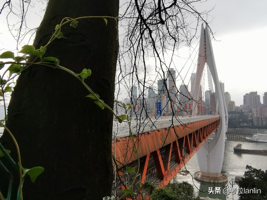 重庆桥都山城,重庆桥都之城