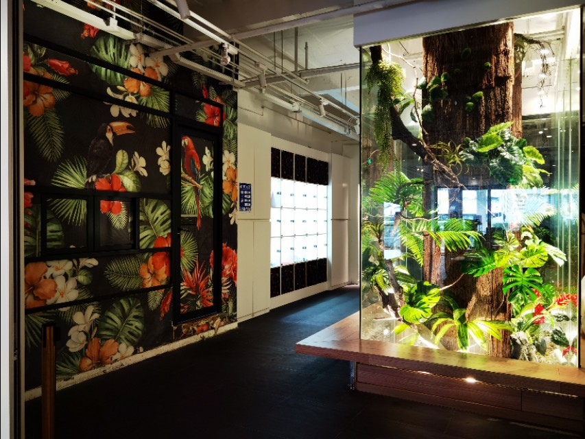 广州租界最早的沙面,广州沙面岛以前是租界吗