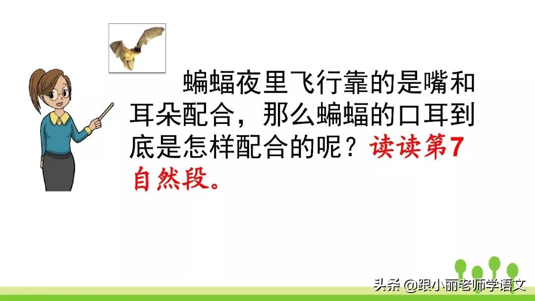 语文思维导图四年级上蝙蝠和雷达,人教版四年级上册蝙蝠和雷达朗读