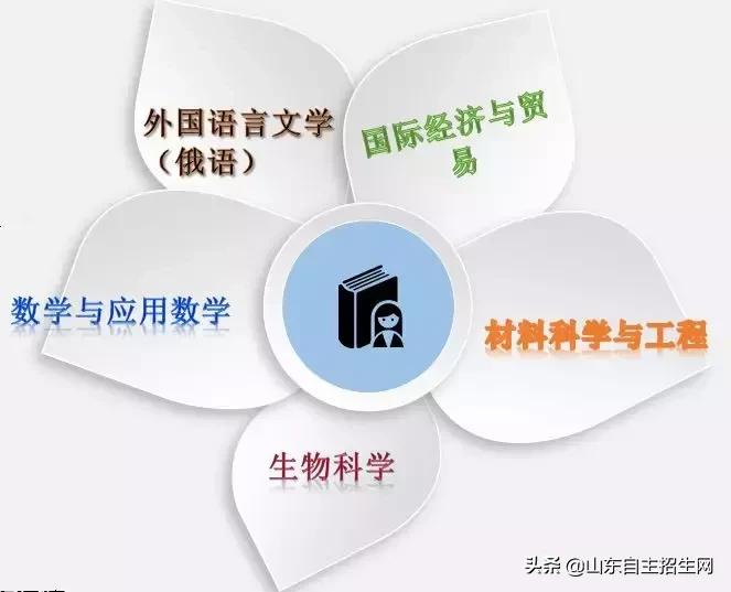 深圳北理莫斯科大学可以单招吗,北理莫斯科大学综合评价招生规则