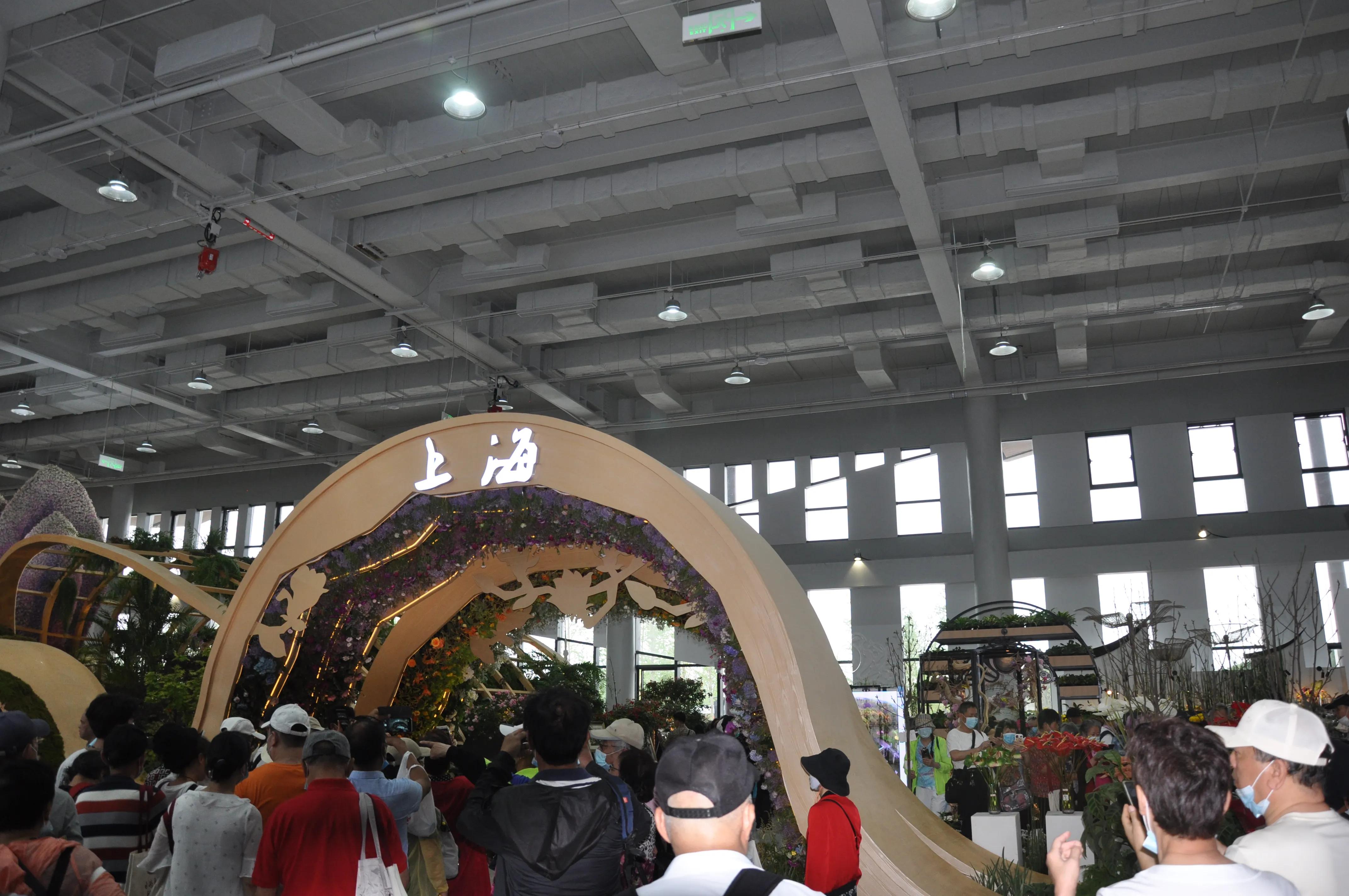 漳州东南花都花博会巡游,花博会花神巡游打卡