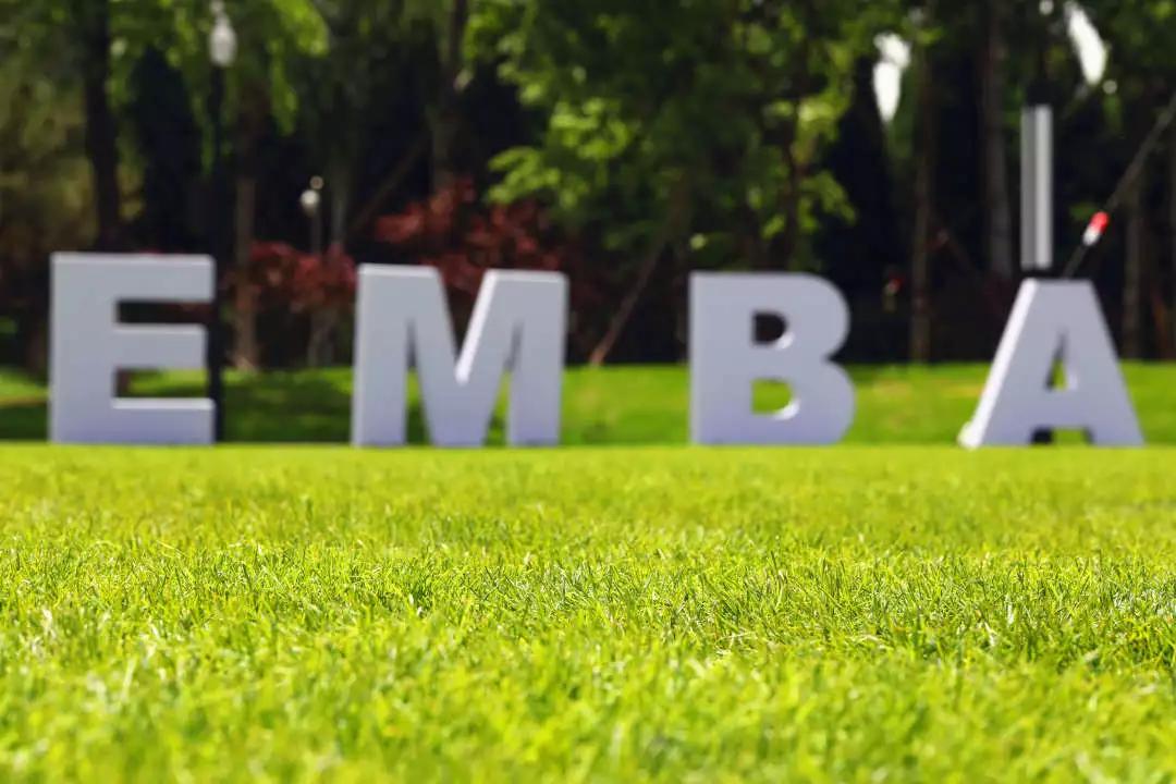 蒙草快乐小草亮相全国发明展览会,西安蒙草快乐小草中标项目