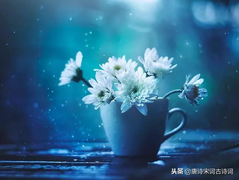 快乐是什么最有诗意的30个答案,如何用古语回答快乐的感受