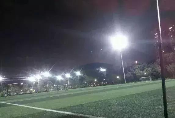 福田花卉世界最新消息,福田花卉世界改造