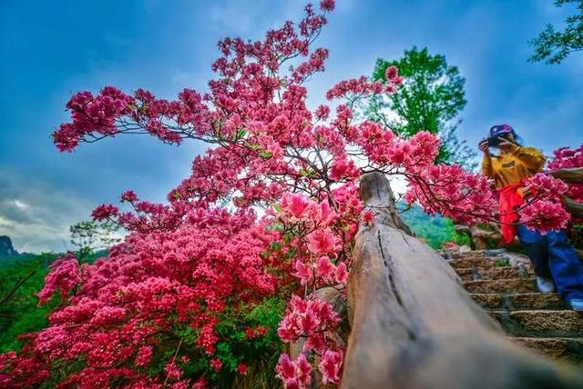 西泰山是什么样的,西泰山为啥叫西泰山