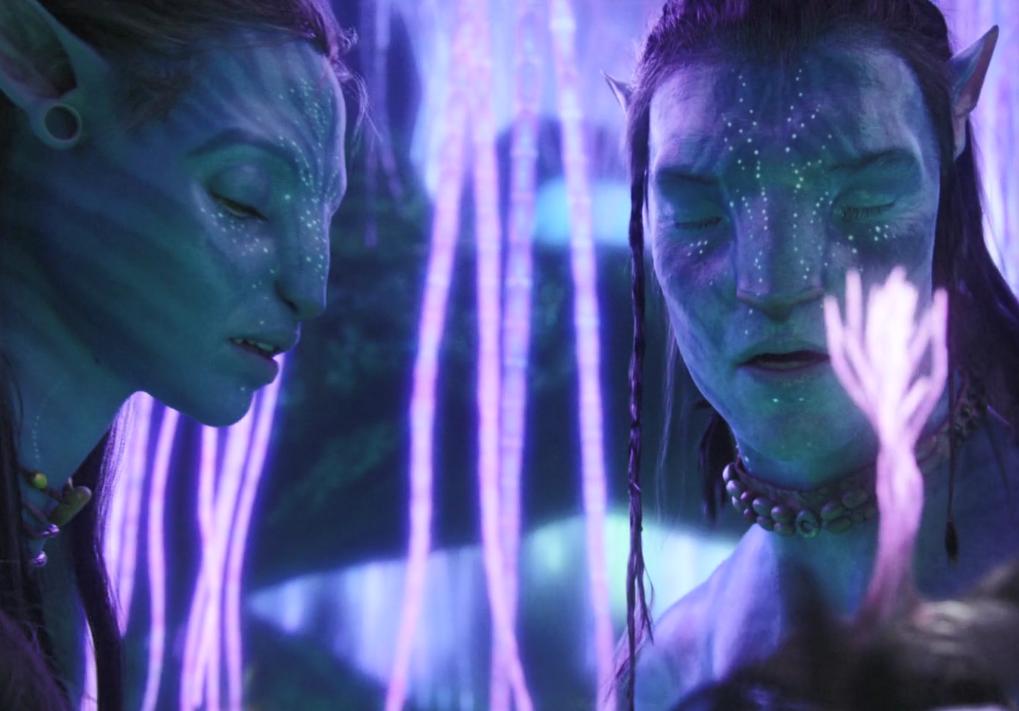 阿凡达最新彩蛋,阿凡达你不知道的隐藏细节