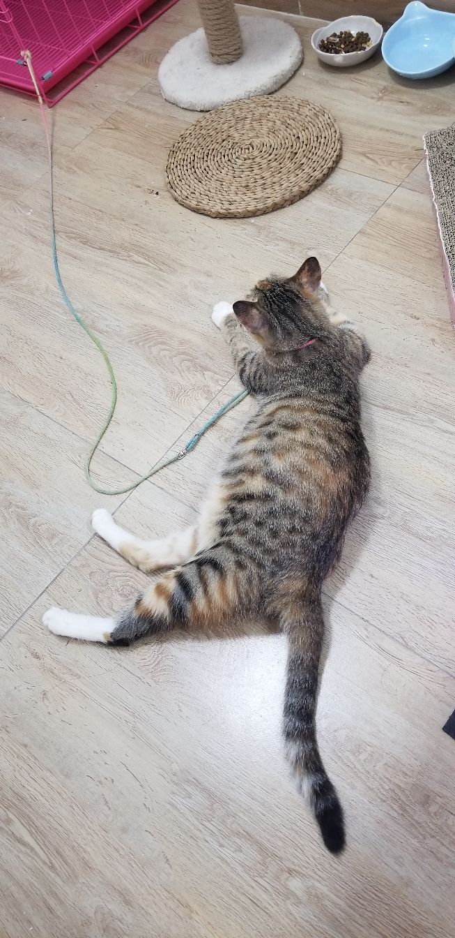 omg怀胎,omg生孩子了吗