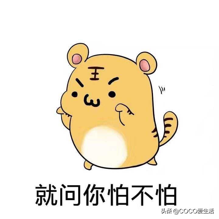 压力大的段子,看一次可以笑一年系列