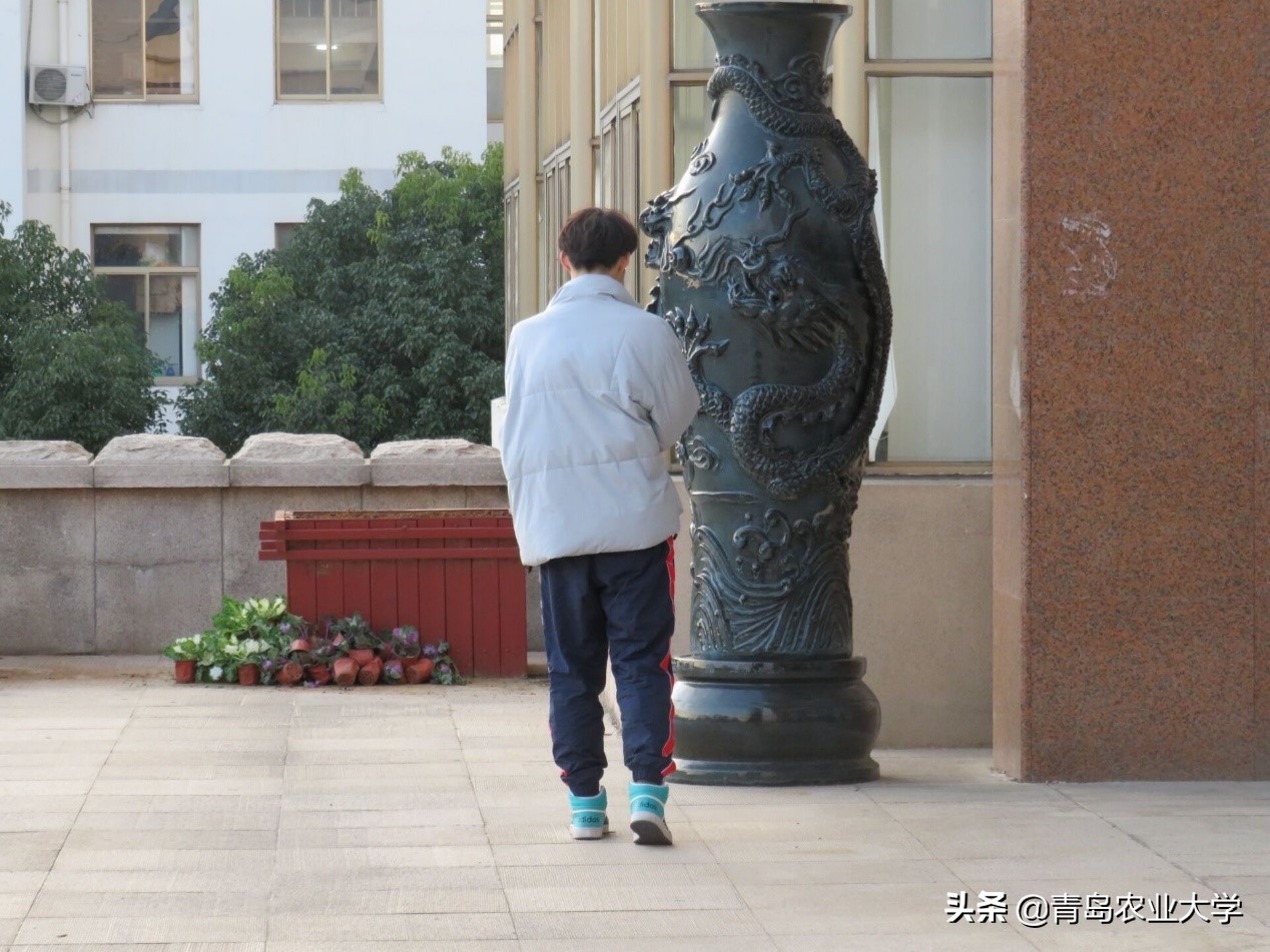 介绍青岛农业大学,令人心动的青岛
