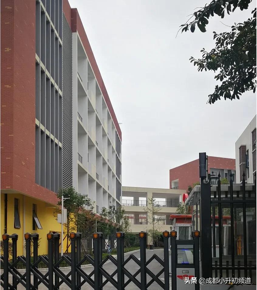 好消息！又一所热门公办中学开启一校三区模式？值得期待