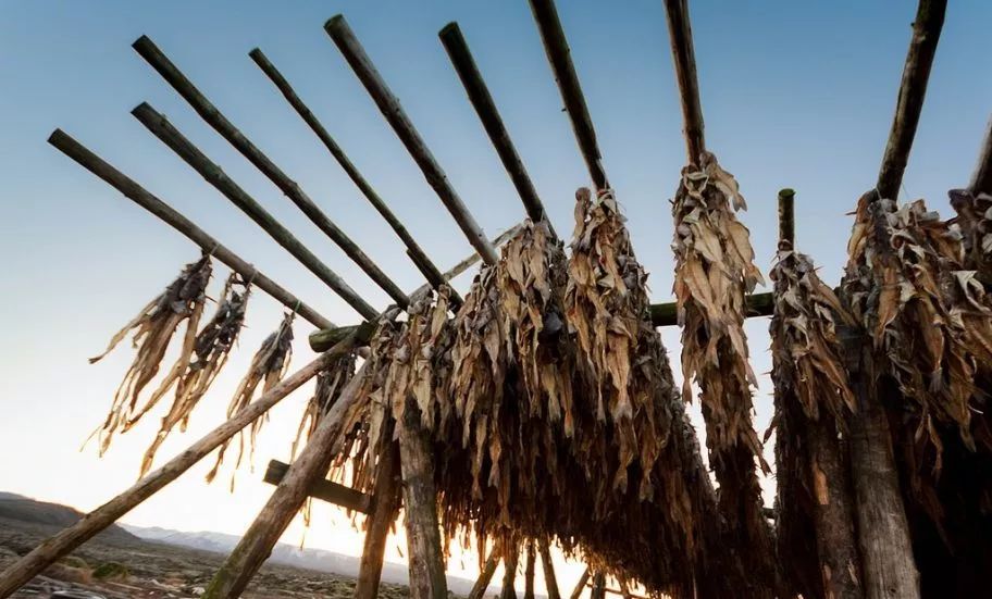 国内最不可缺的零食,国内大量零食
