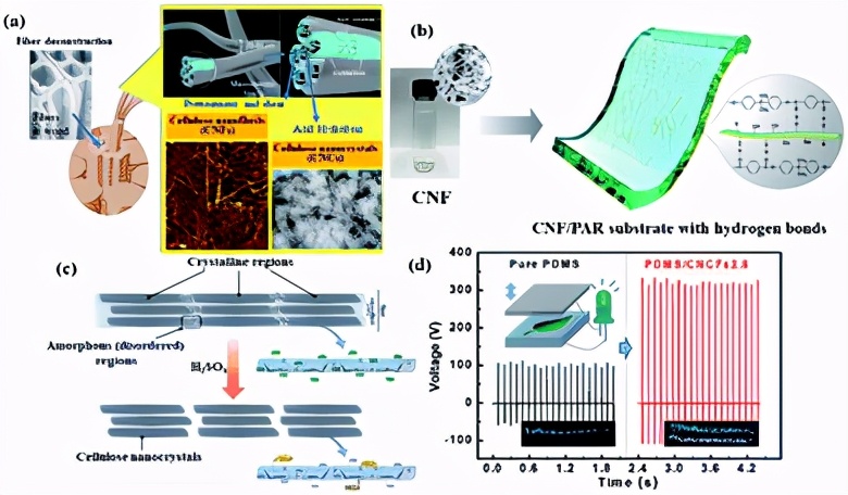 全纤维素超级电容器,木质素气凝胶超级电容器
