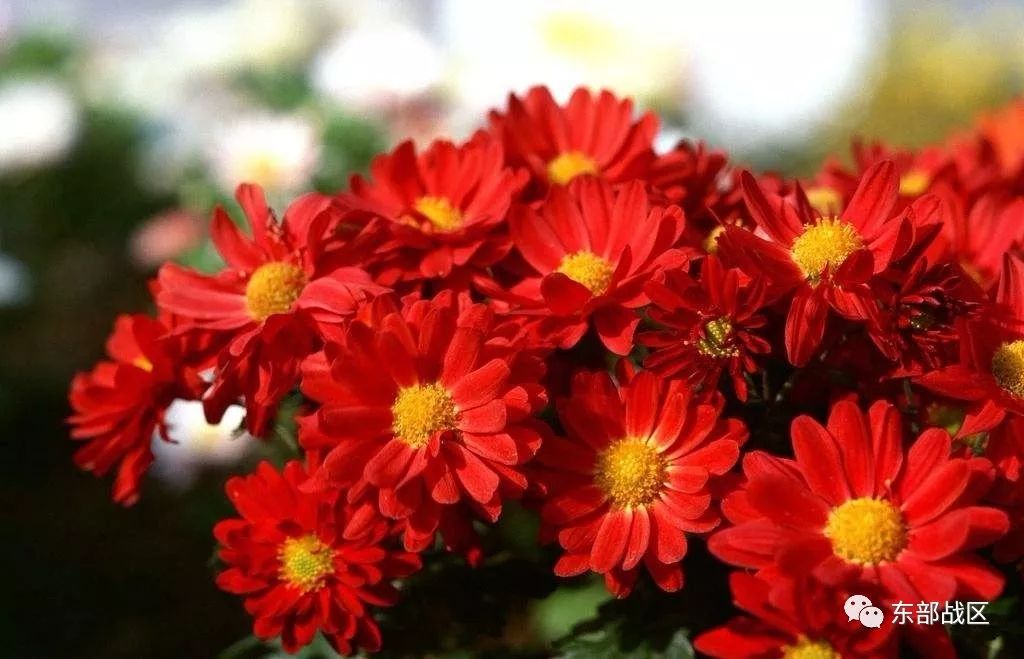 一封催人泪下的家书手写,一封家书感人完整版