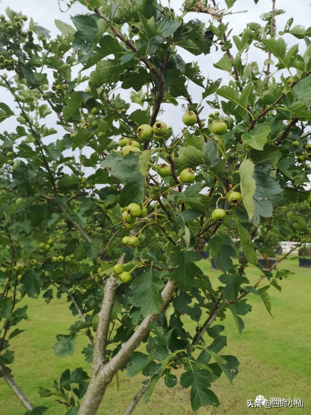 极简风网红民宿,8家网红民宿推荐