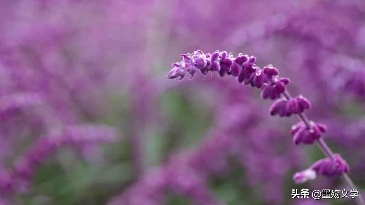 当你爱一个人和我一样爱你的时候,真爱你的人会一直陪伴你