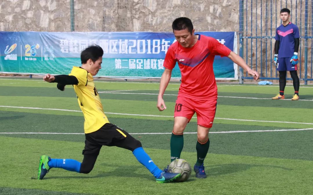 碧桂园最牛总裁,碧桂园杰出企业文化传播人