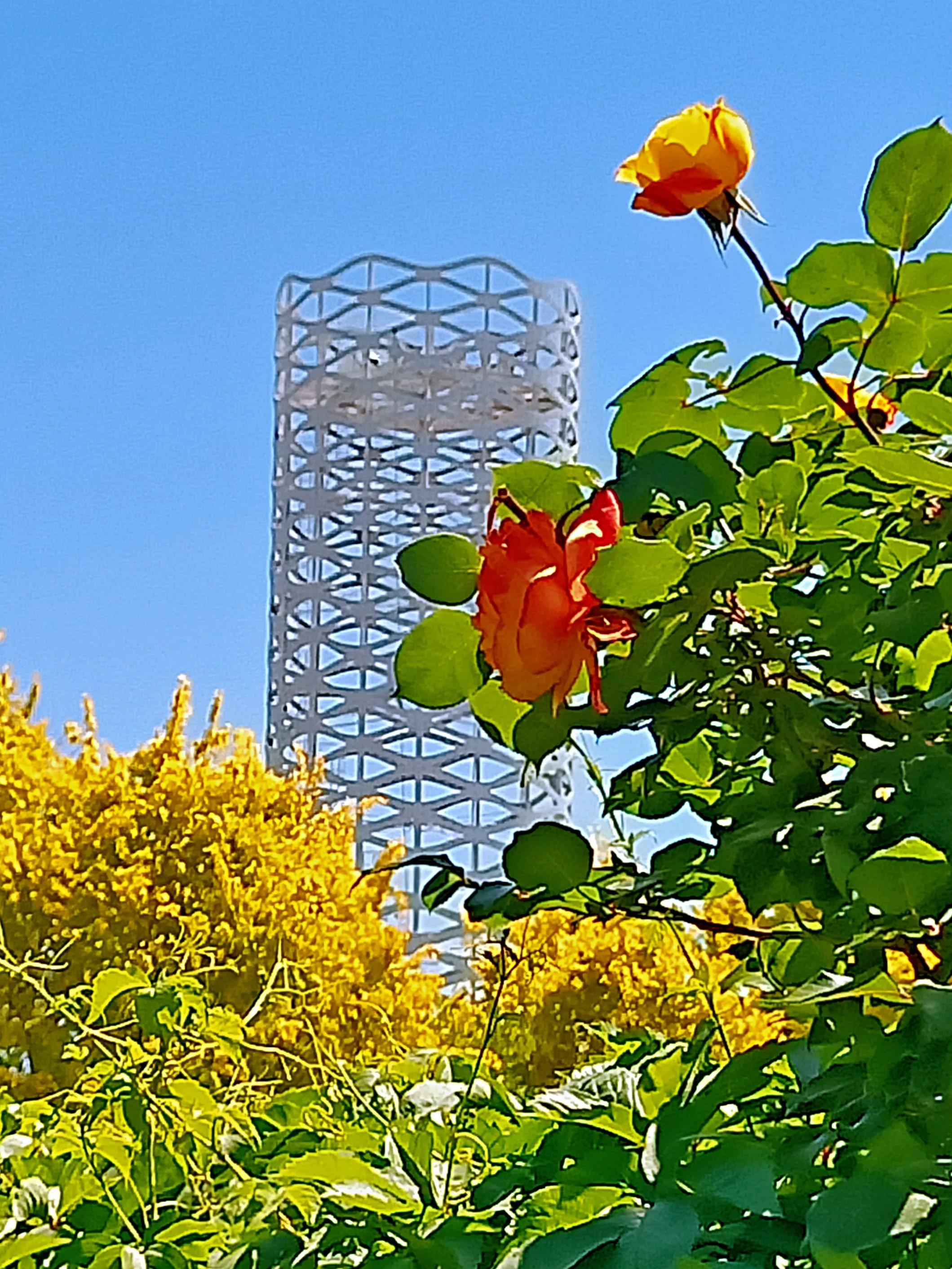 天津银河广场景观,天津银河公园攻略