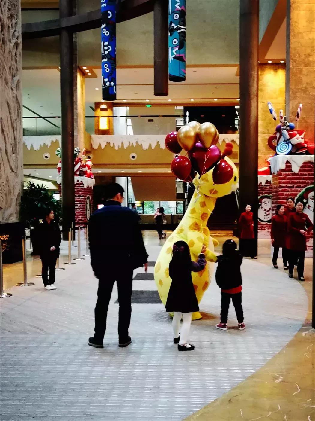 广州长隆动物园最全游玩攻略成人,去广州长隆野生动物园玩真实视频