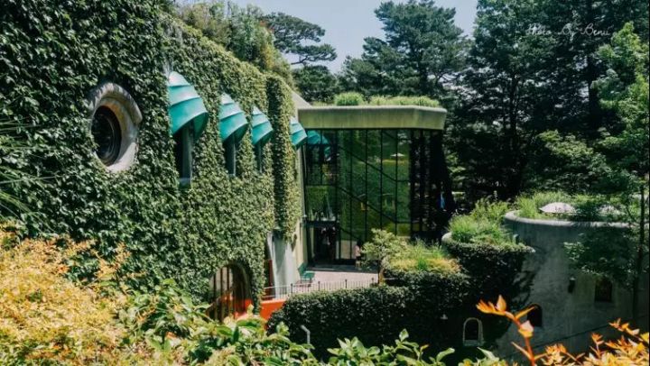 逛东京,去东京哪里旅游最适合居住