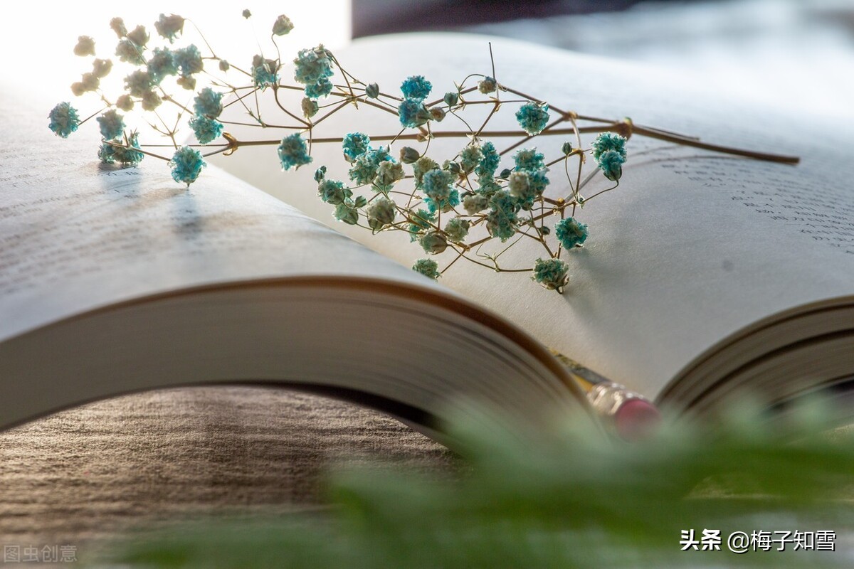 不慌不忙，一步一步走向自律