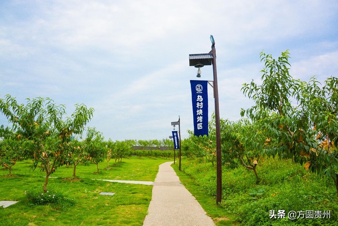 这个夏日，看这个美女如何在浙江乌村的第一百种玩法