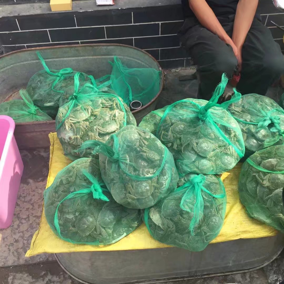 它，坐拥万亩荷花？它，也因《弹起我心爱的土琵琶》而耳熟能详？