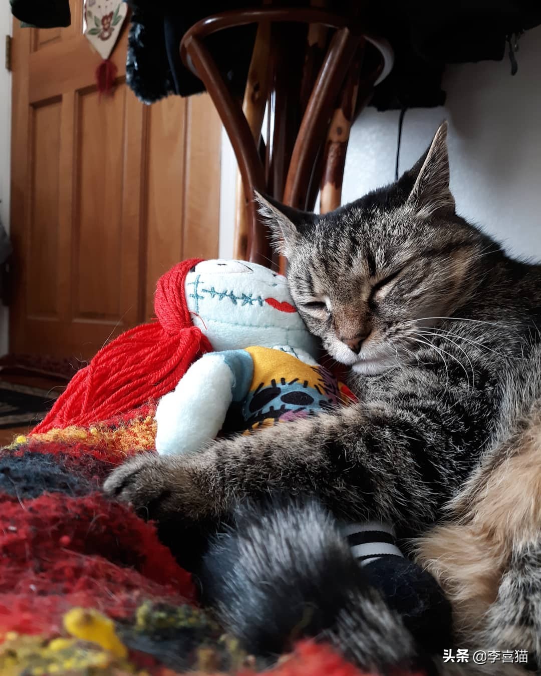 铲屎官必备猫玩具大全 (猫咪必备的10种玩具)