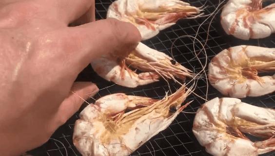 温补肾阳补肾固精吃什么,温肾固精的食品