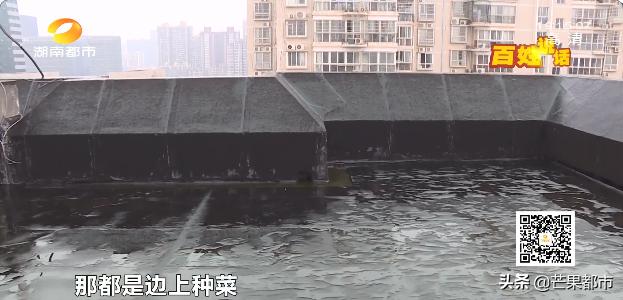 长沙神秘小区,长沙这座城市怎么火的