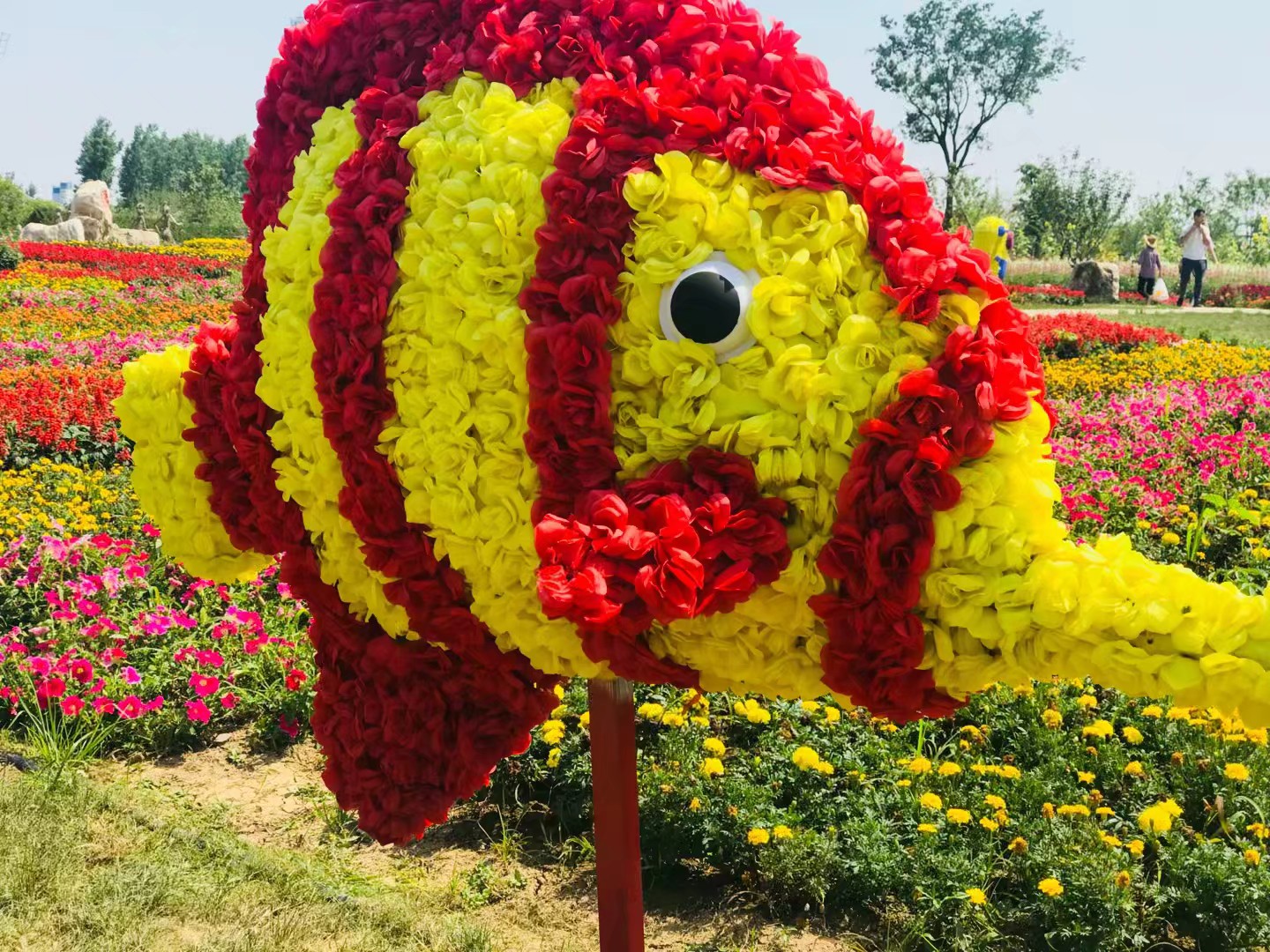 同心花海风景区,春光无限好旅游观光