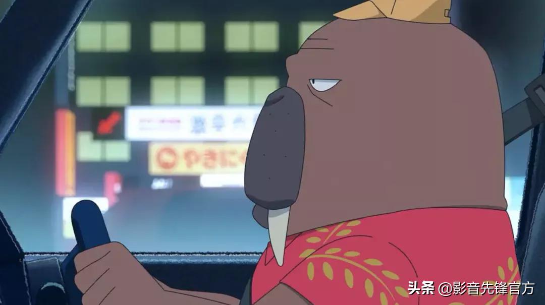 黑马新番推荐，这才是成年人该看的动漫