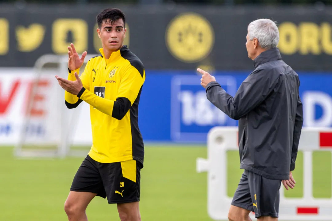 来了！“新卡卡”空降“黄黑幼儿园”