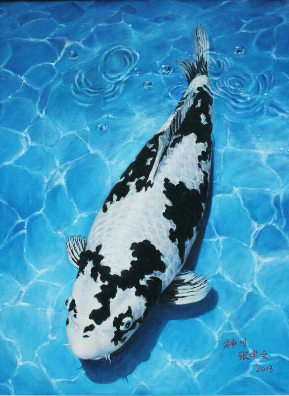 鱼缸养锦鲤鱼的方法和技巧,鱼缸新手养锦鲤鱼的正确方法