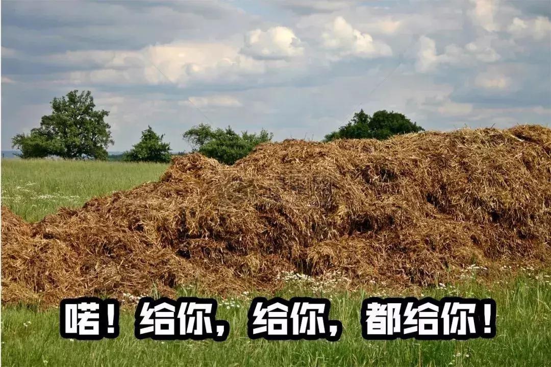 那些没甩脸上的姨妈巾被偷偷的塞进了男生的那里？