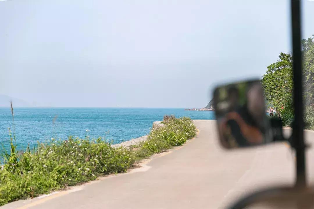 杨梅坑旅游攻略超详细版,魅力杨梅坑