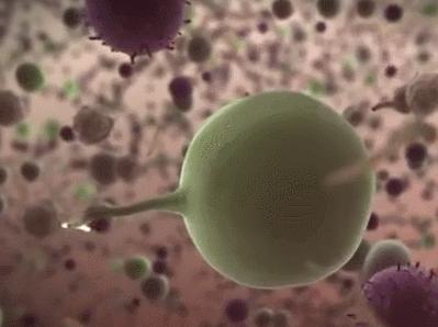 中国干细胞治疗脑损伤的新药,干细胞治疗大脑损伤最新进展