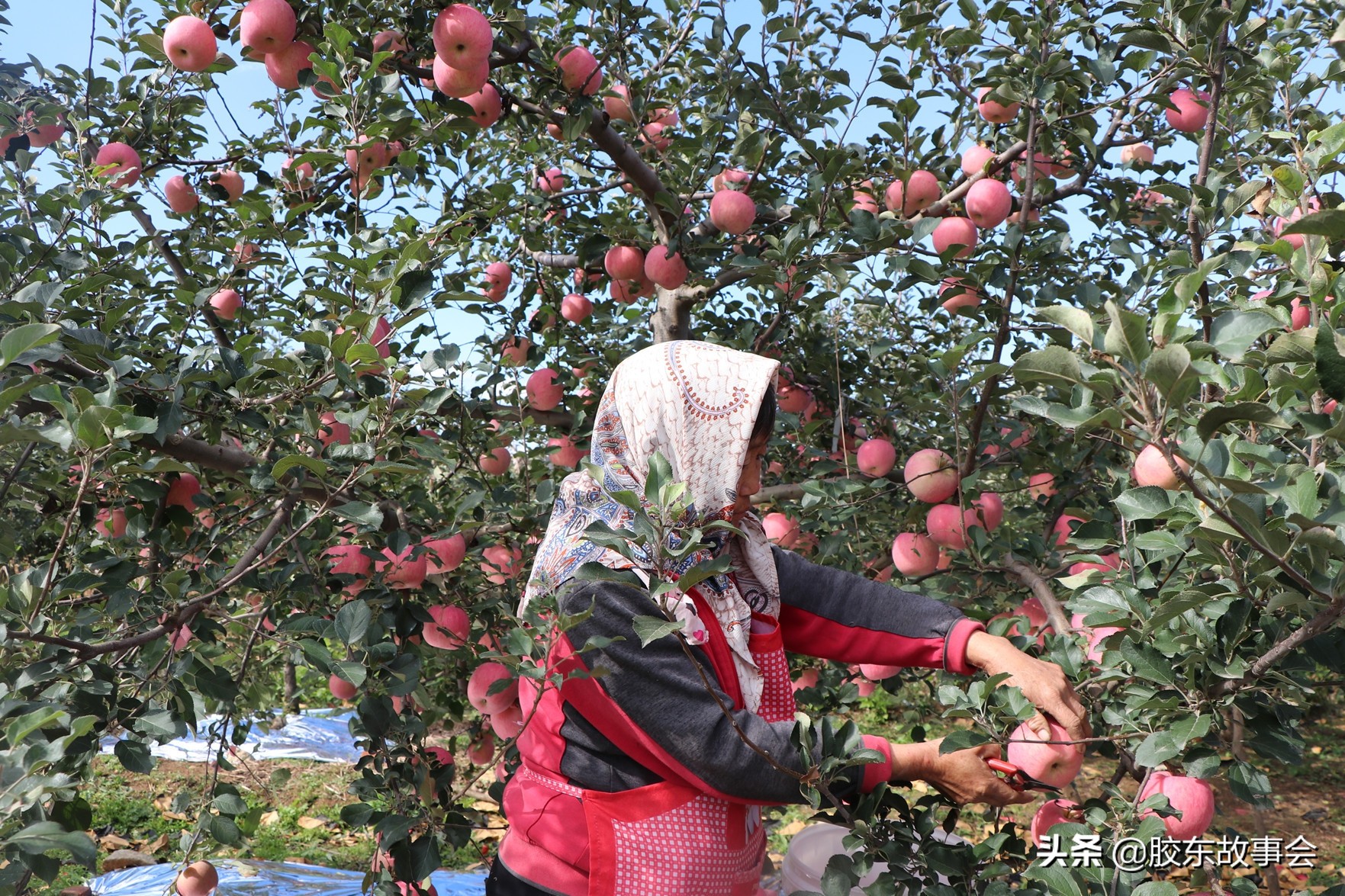 烟台栖霞95后的姑娘,95后姑娘回忆童年
