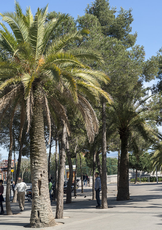 西班牙巴塞罗那之行,西班牙巴塞罗那时尚之旅