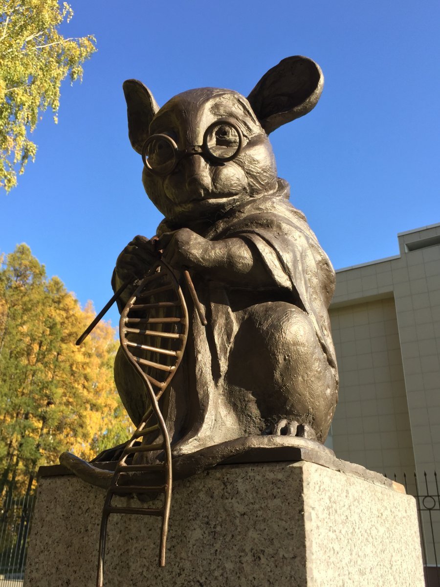 膜性肾病流行病学,膜性肾病的最新研究