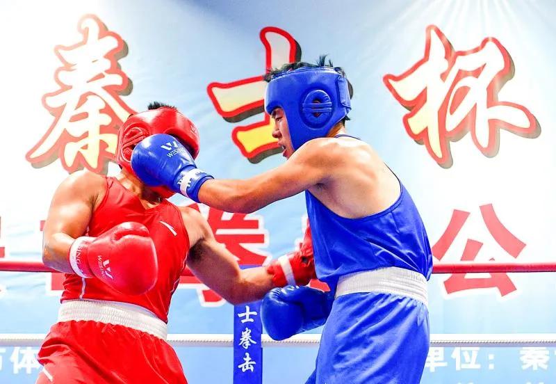 中国拳击锦标赛比赛直播,2019全国男子拳击锦标赛陕西站