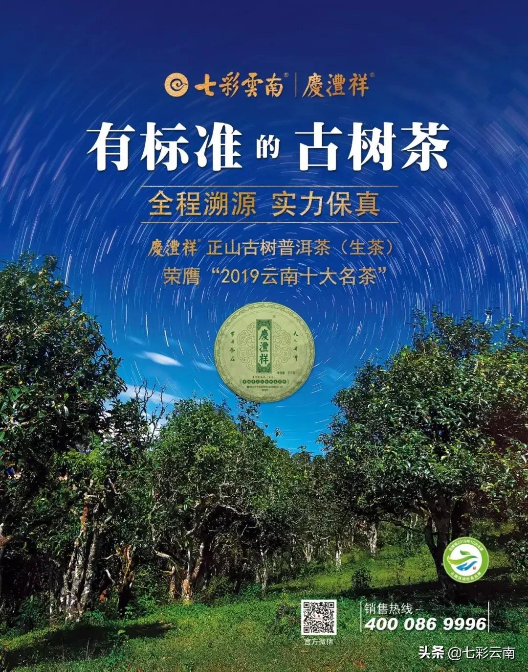七彩云南庆沣祥什么档次,云南庆沣祥茶业股份有限公司