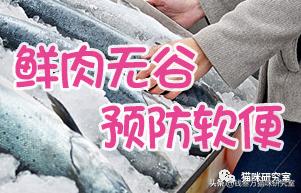 猫粮now评测,进口猫粮到底怎么选