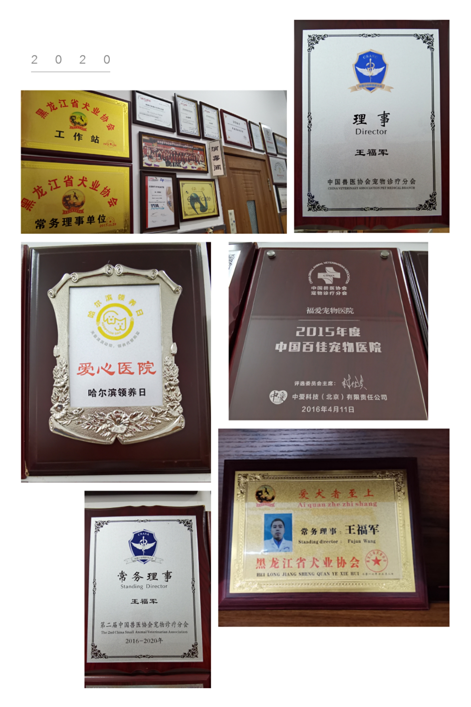 “生命面前万物平等”——记极地馆首席动物医疗顾问王福军教授