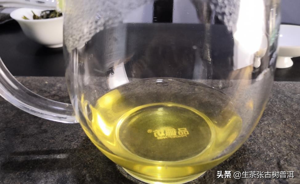 认识普洱茶入门基础知识,认识茶的基础知识