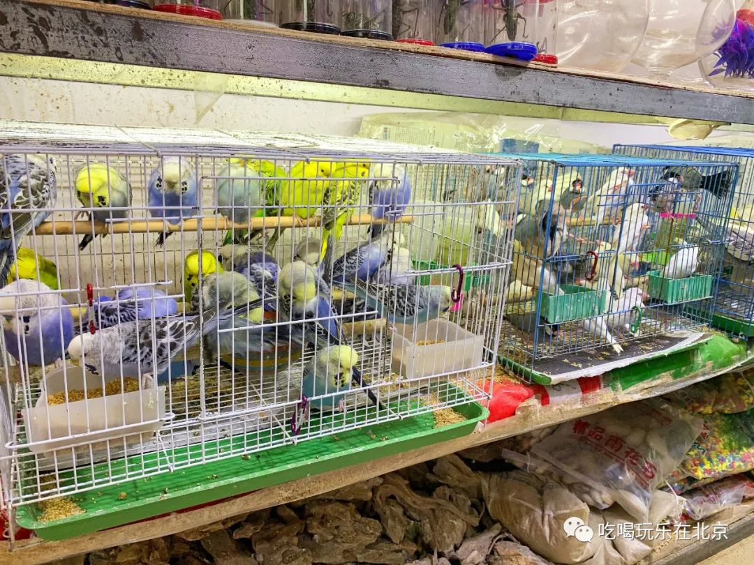 北京崇文区西花市大街,北京通州花市在哪里