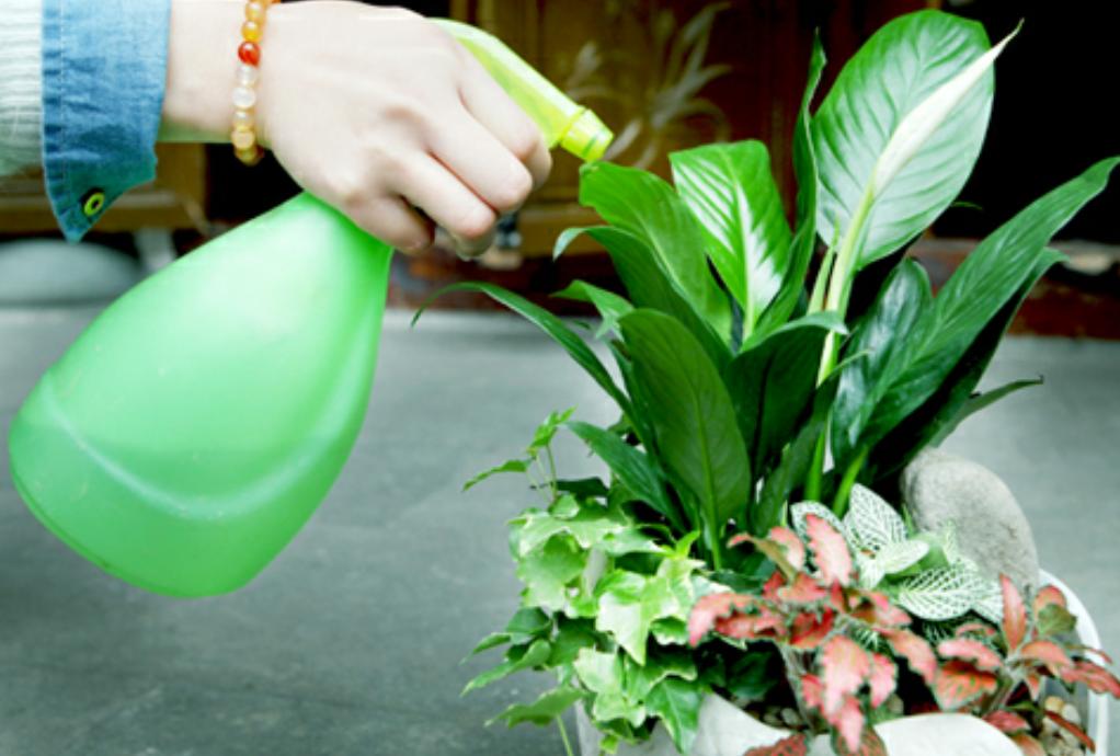 养花怎么避免土壤碱化板结,养花土壤板结掉叶子怎么处理