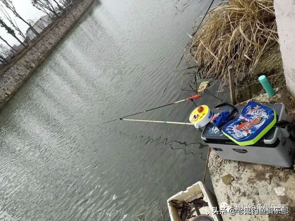 单开九一八钓大鱼,单开九一八钓罗非