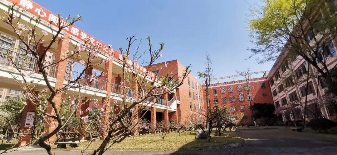 我把德阳市的校园春天寄给你